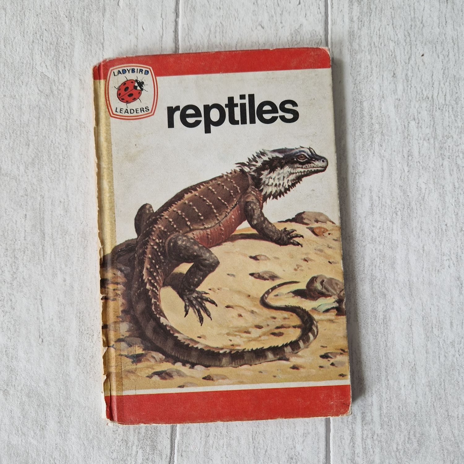 Reptiles Ladybird Book Bearded Dragon
