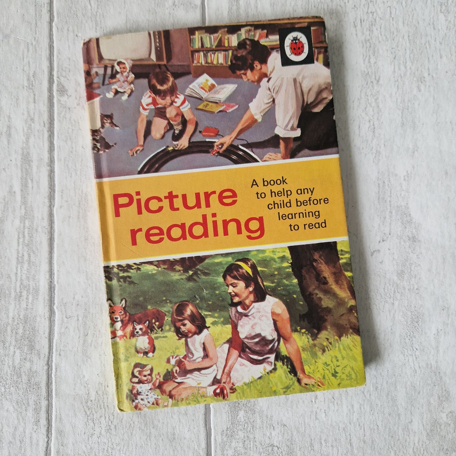 Picture Reading Ladybird Book
