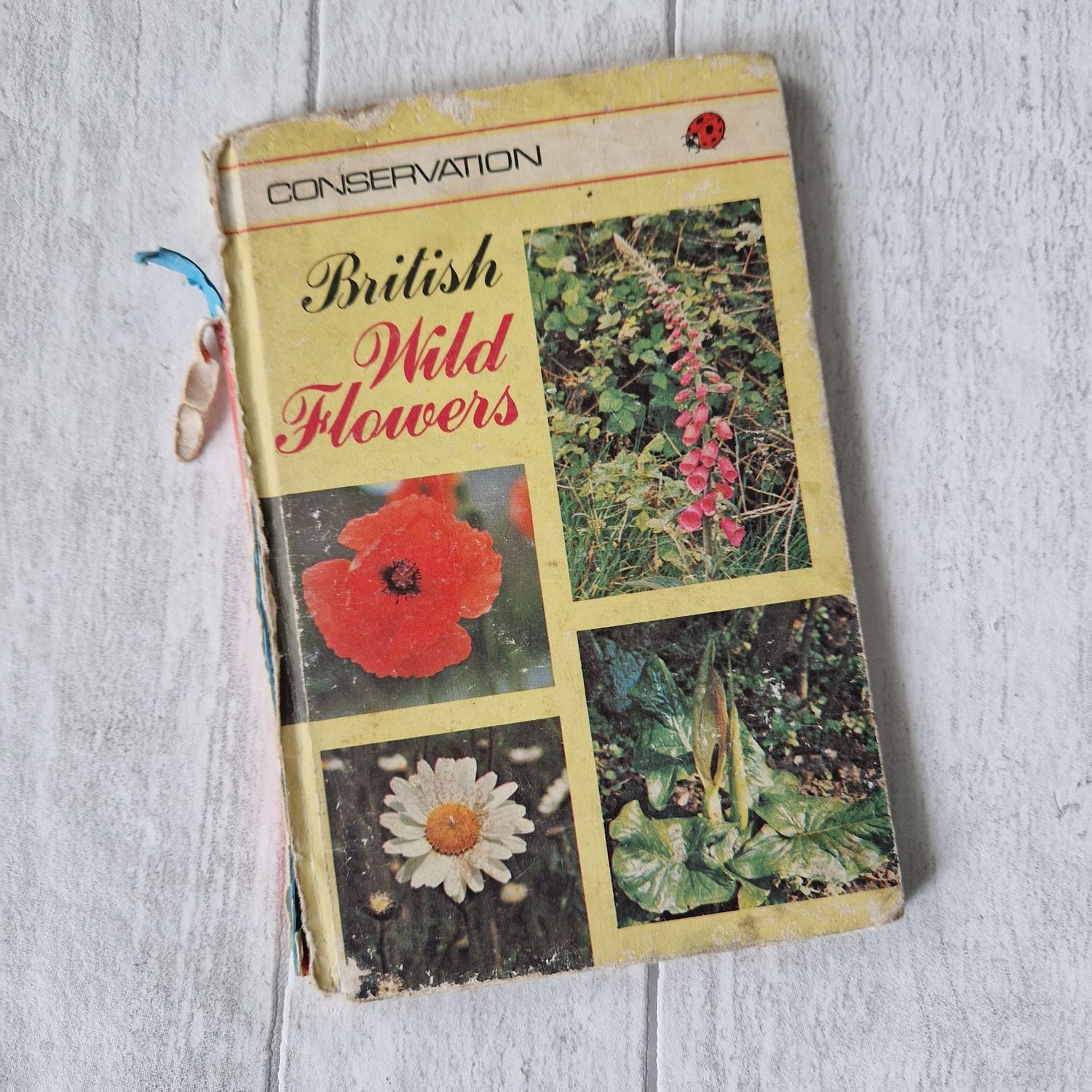 British Wild Flowers Ladybird Book