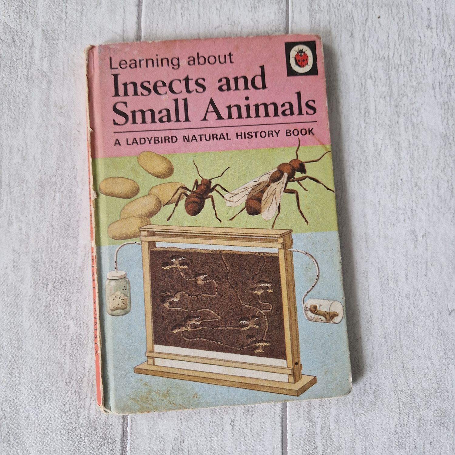 Insects and Small Animals Ladybird Book