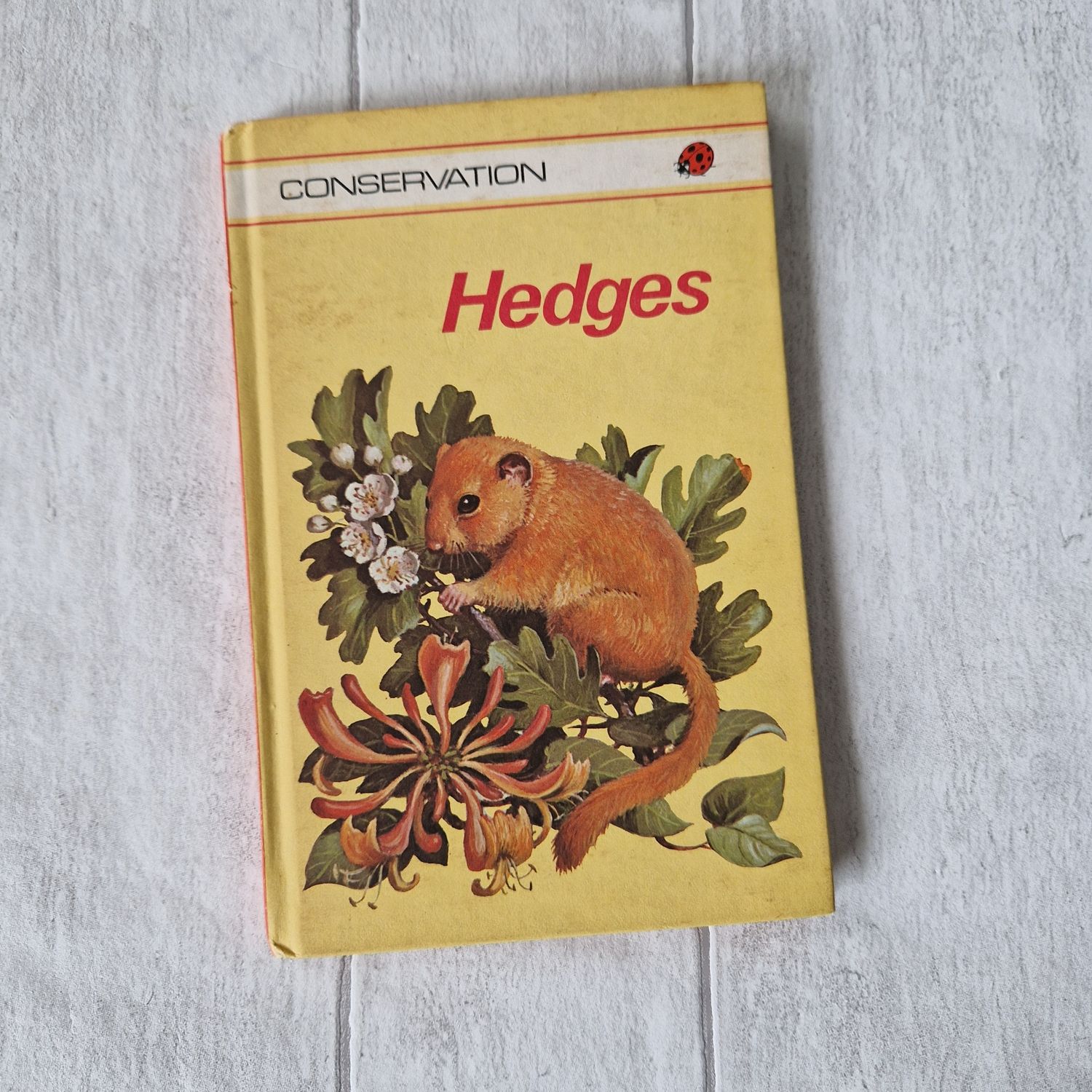 Hedges Notebook Ladybird Book - Vole