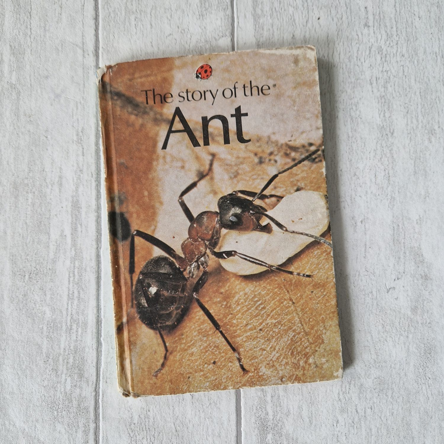 Ant Ladybird Book