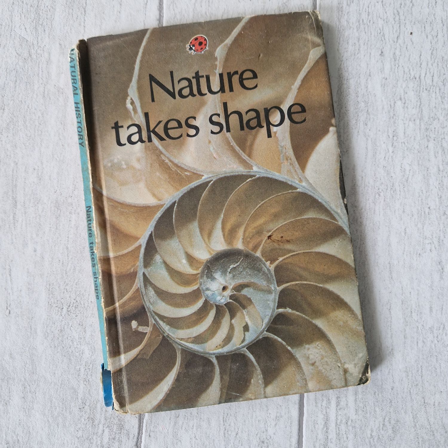 Nature Takes Shape - shell Ladybird Book