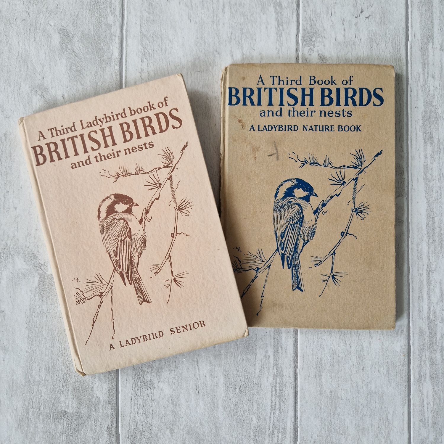 British Birds and their Nests Ladybird Book third edition