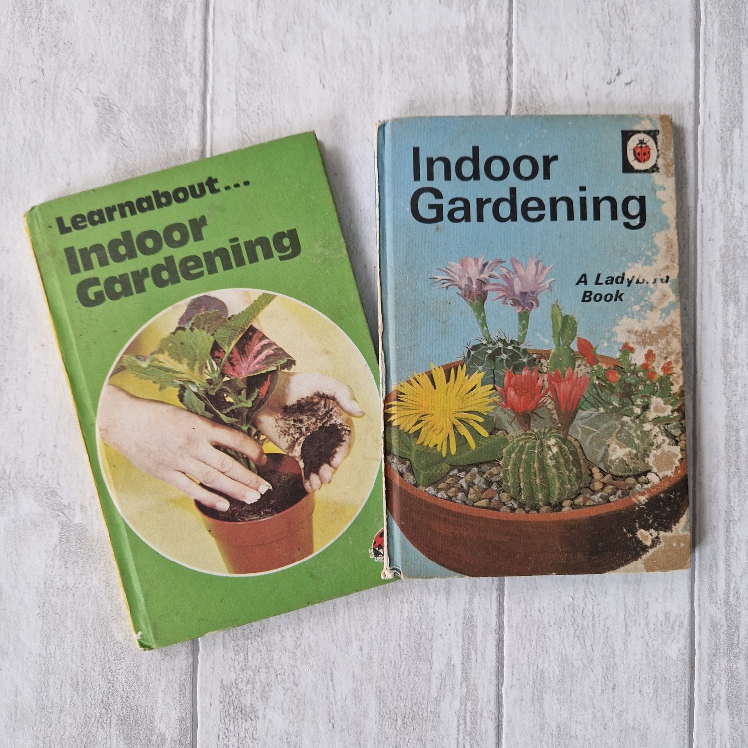 Indoor Gardening Ladybird Book
