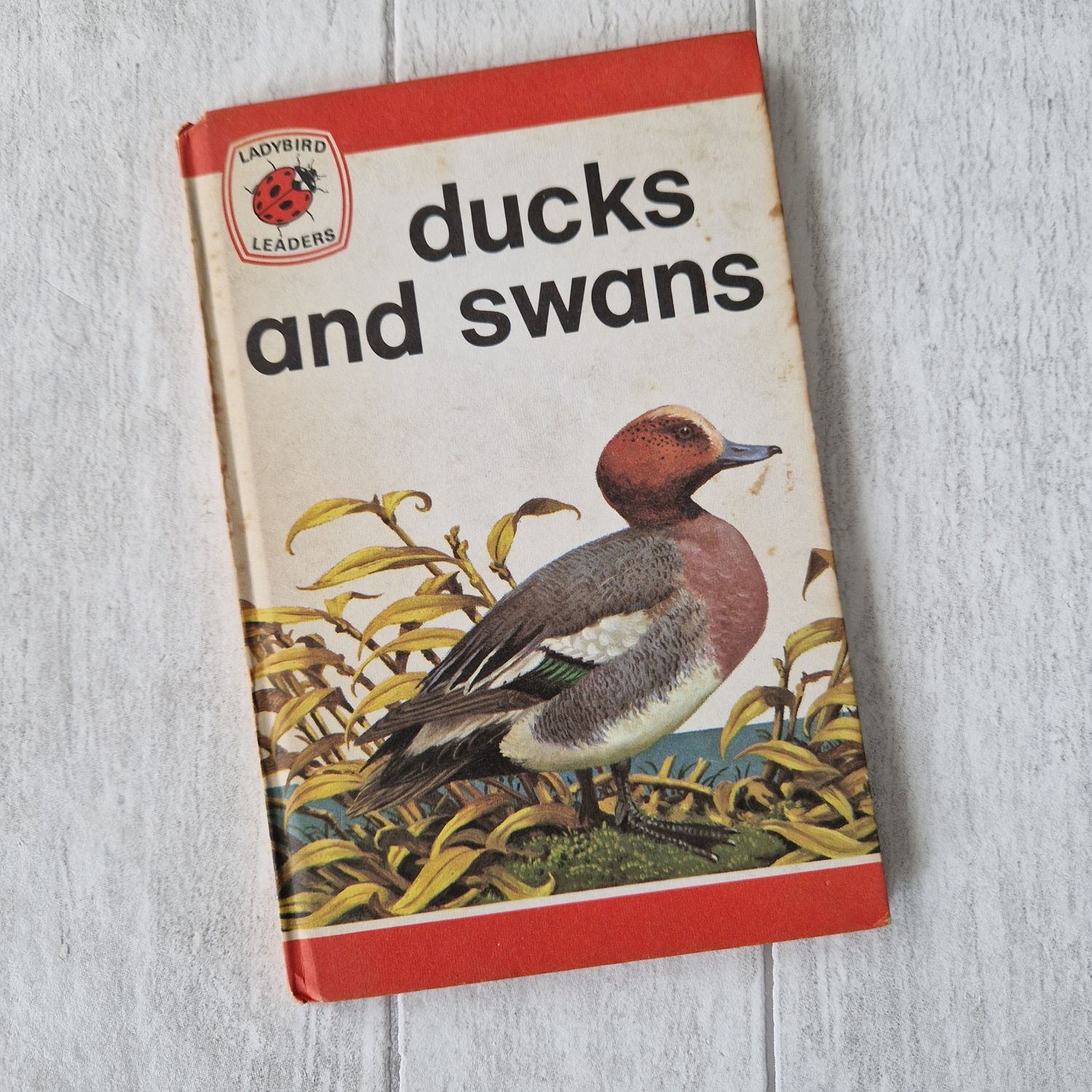 Ducks and Swans Ladybird Book