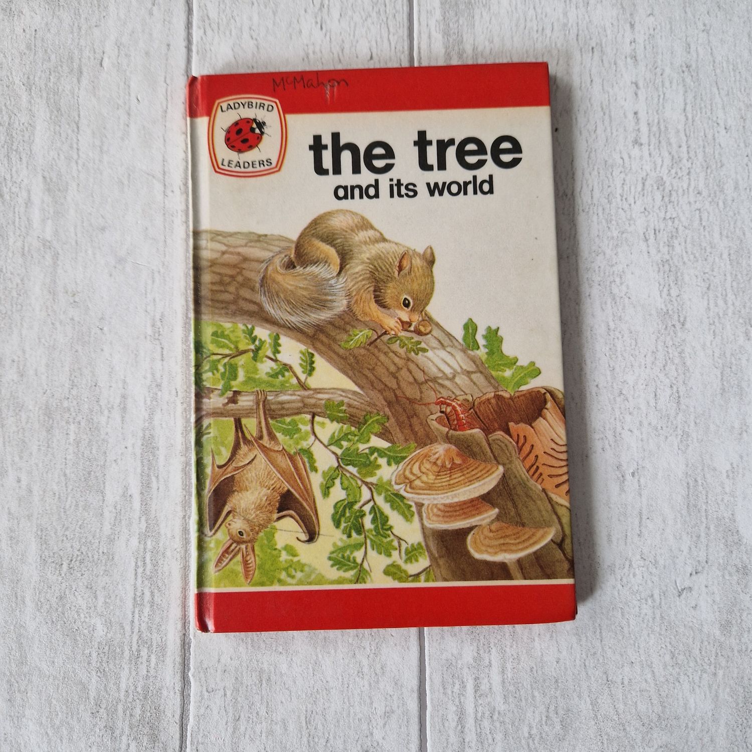 The Tree and It&#39;s World Ladybird Book squirrel bat