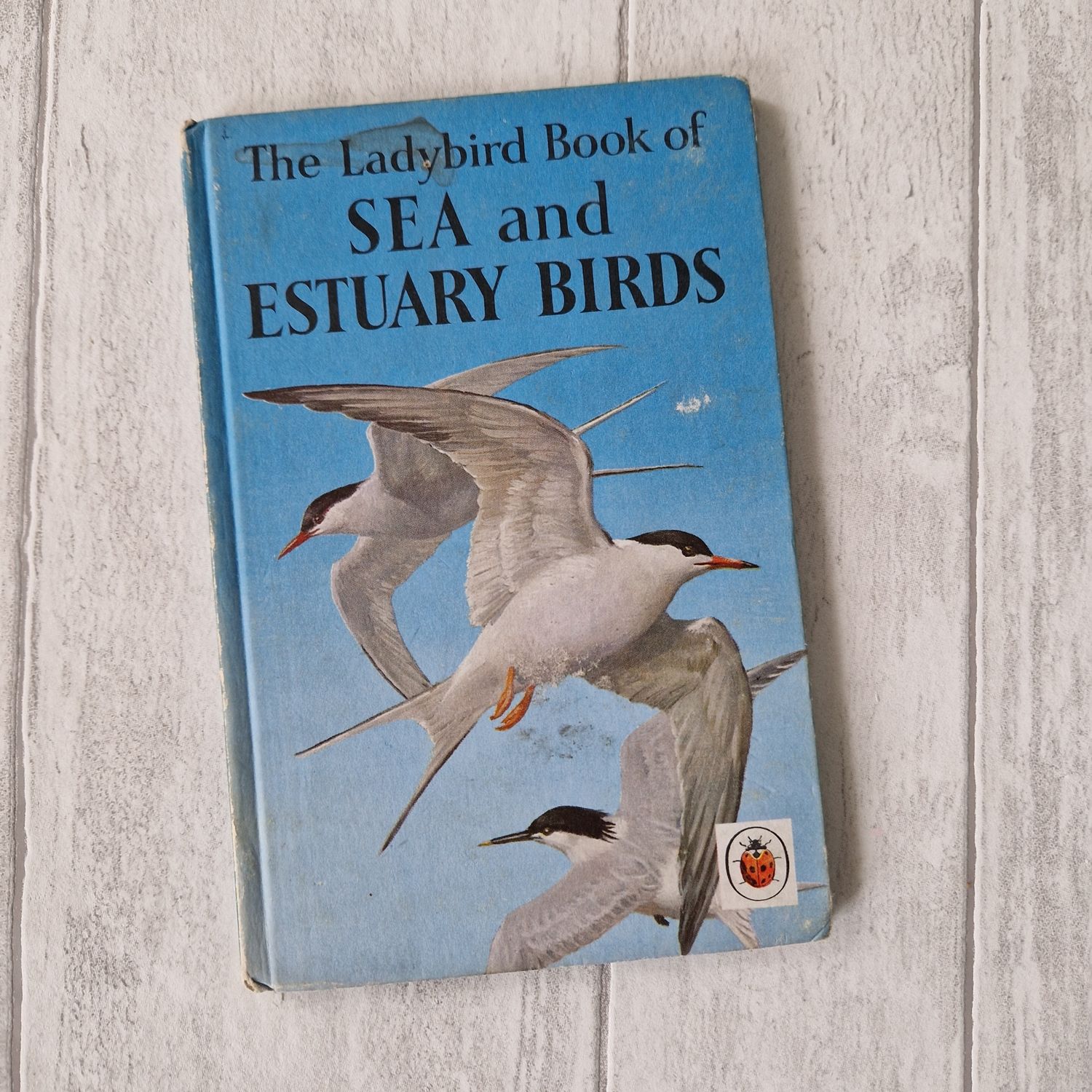 Sea and Estuary Birds Ladybird Book