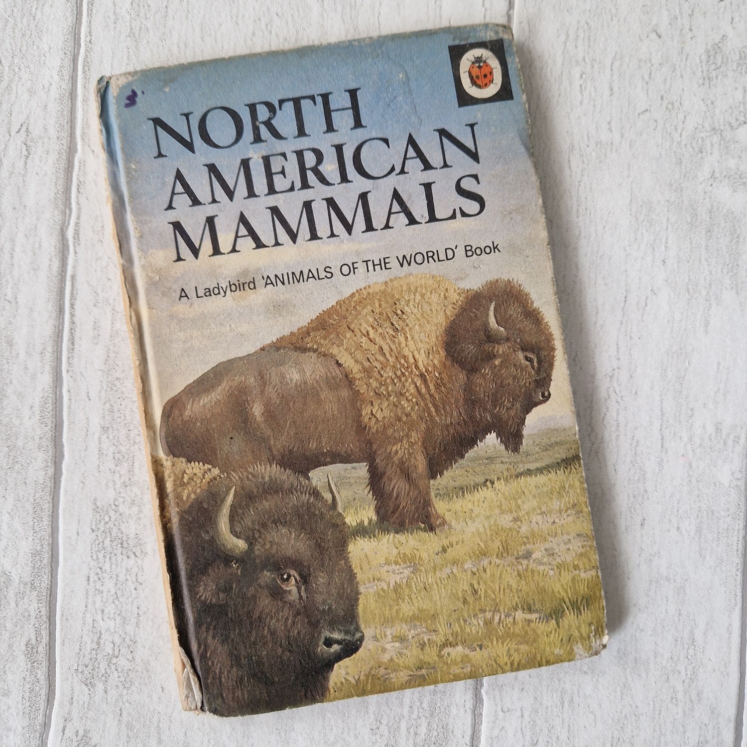 North Americam Mammals Ladybird Book Bison