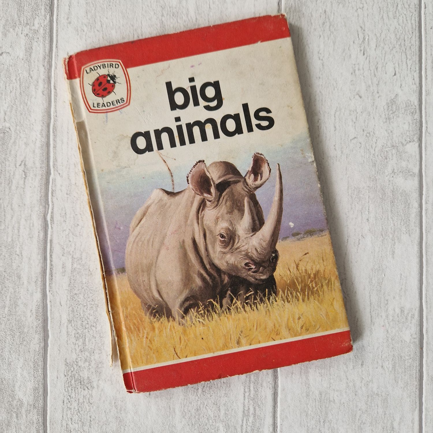 Big Animals Ladybird Book Rhino