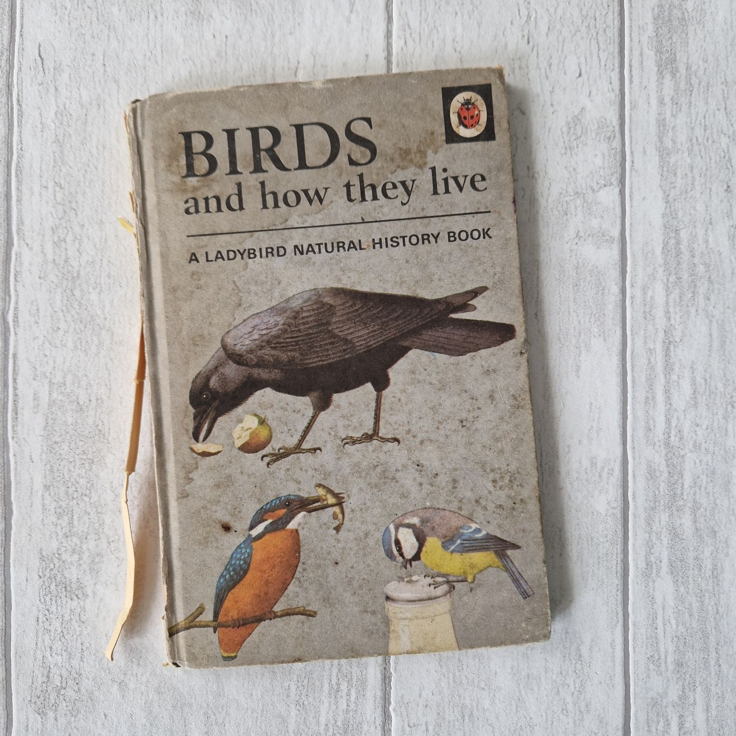 Birds and How They Live Ladybird Book