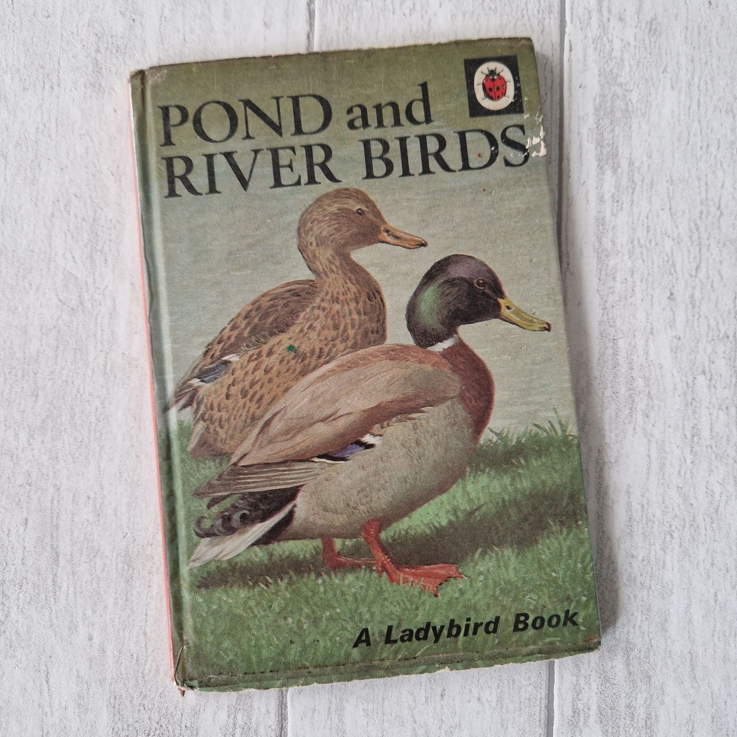 Pond and River Birds Ladybird Book ducks