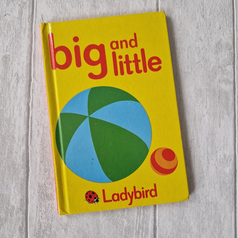 Big and Little Ladybird Book