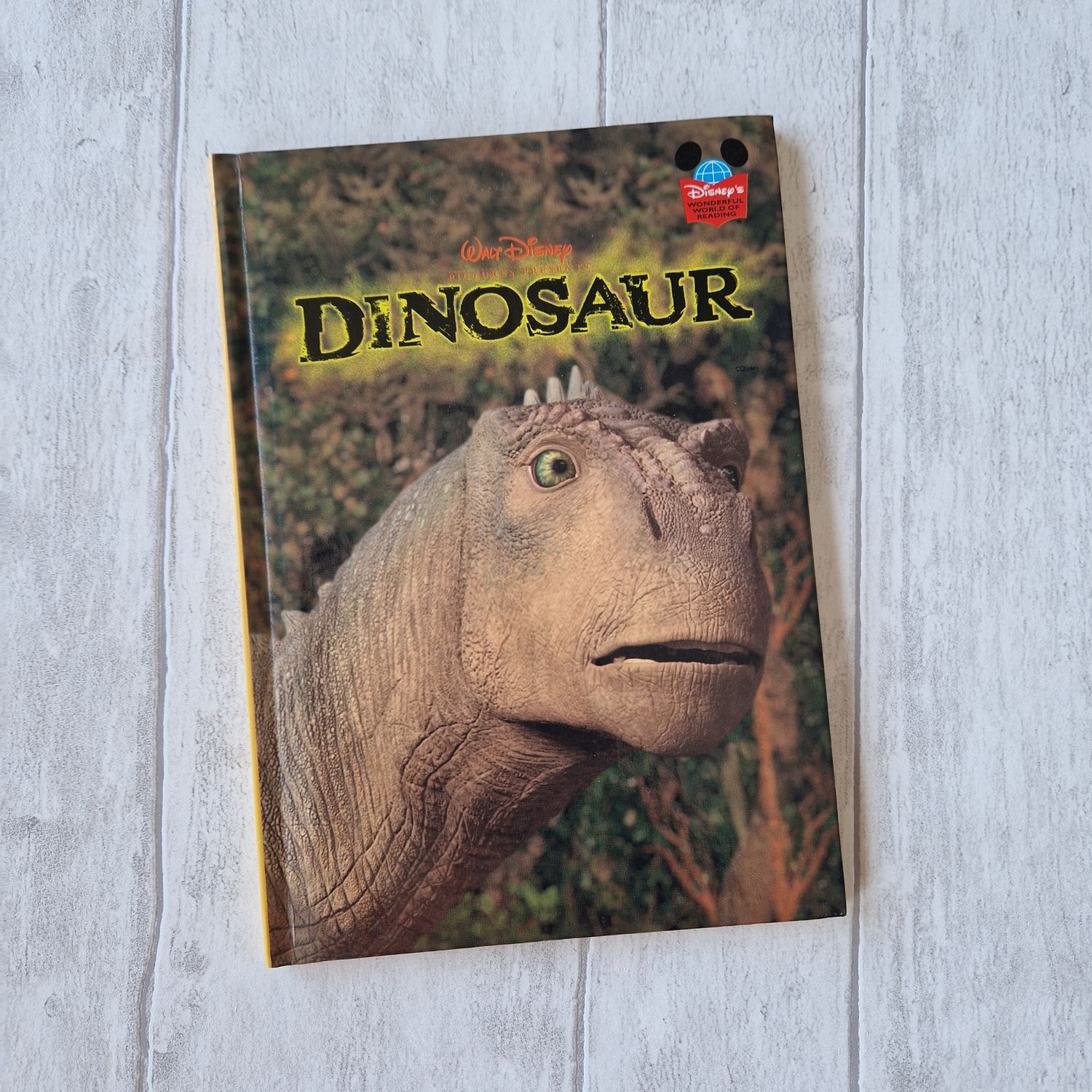 Dinosaur Notebook