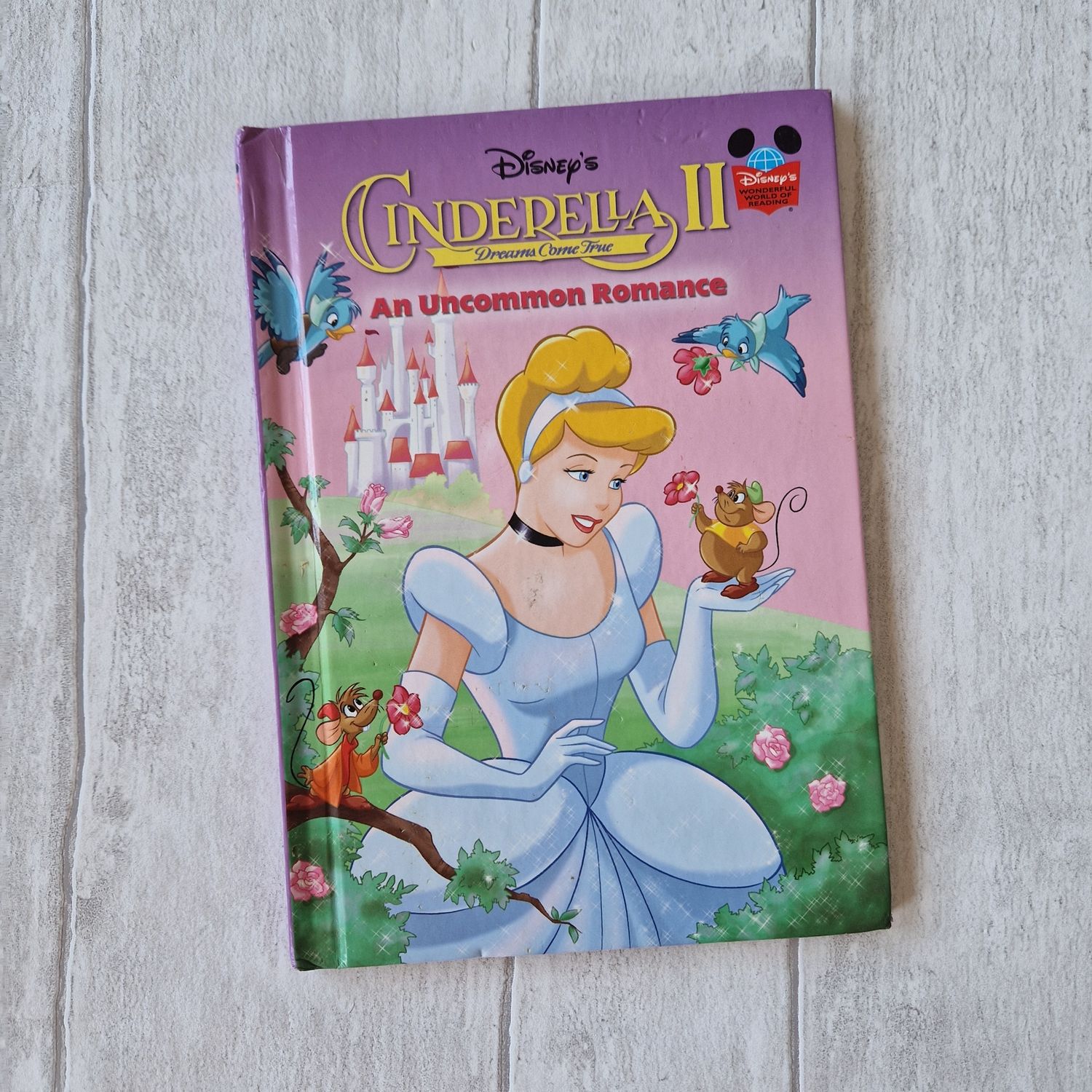 Cinderella 2 - An Uncommon Romance Notebook