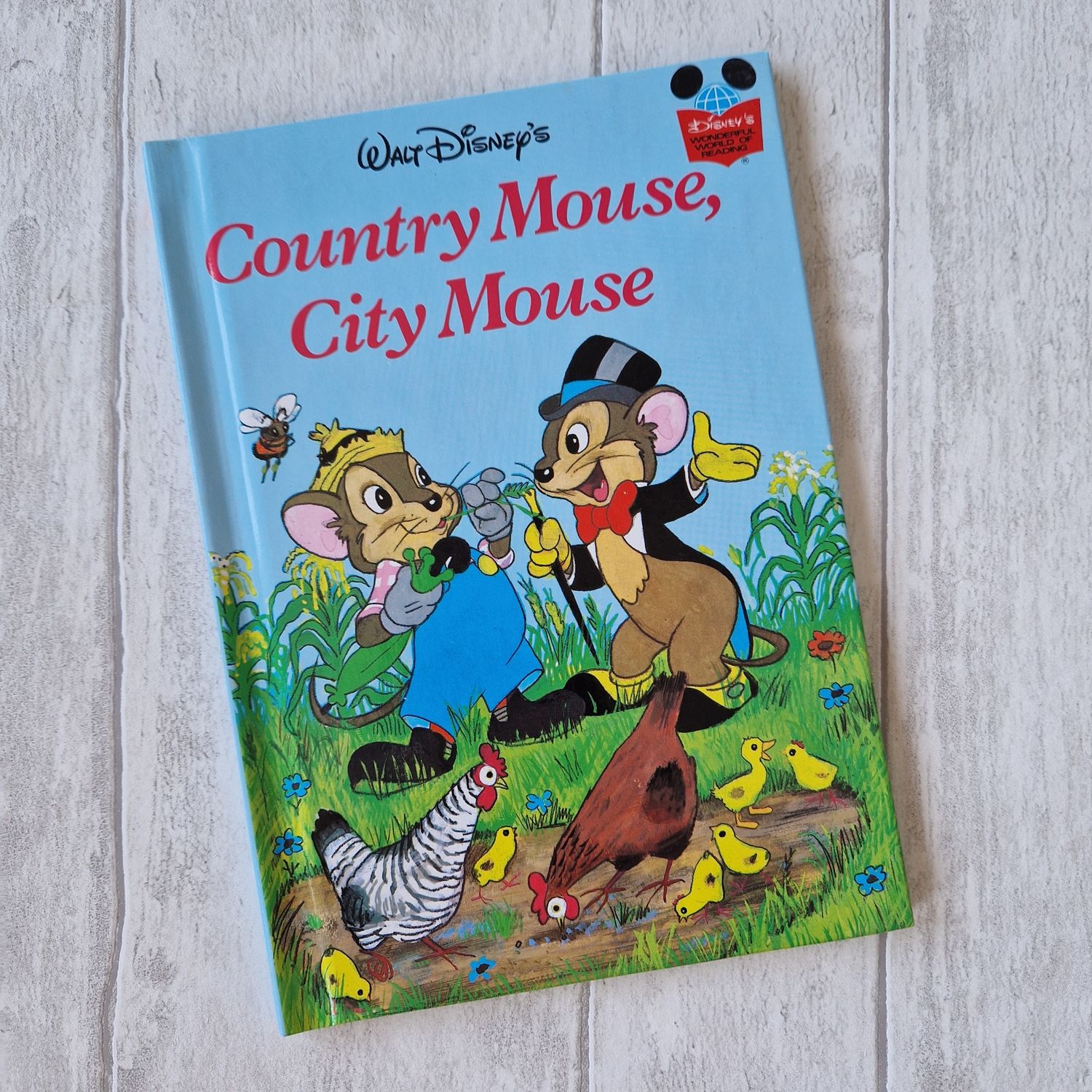 Country Mouse, City Mouse Notebook