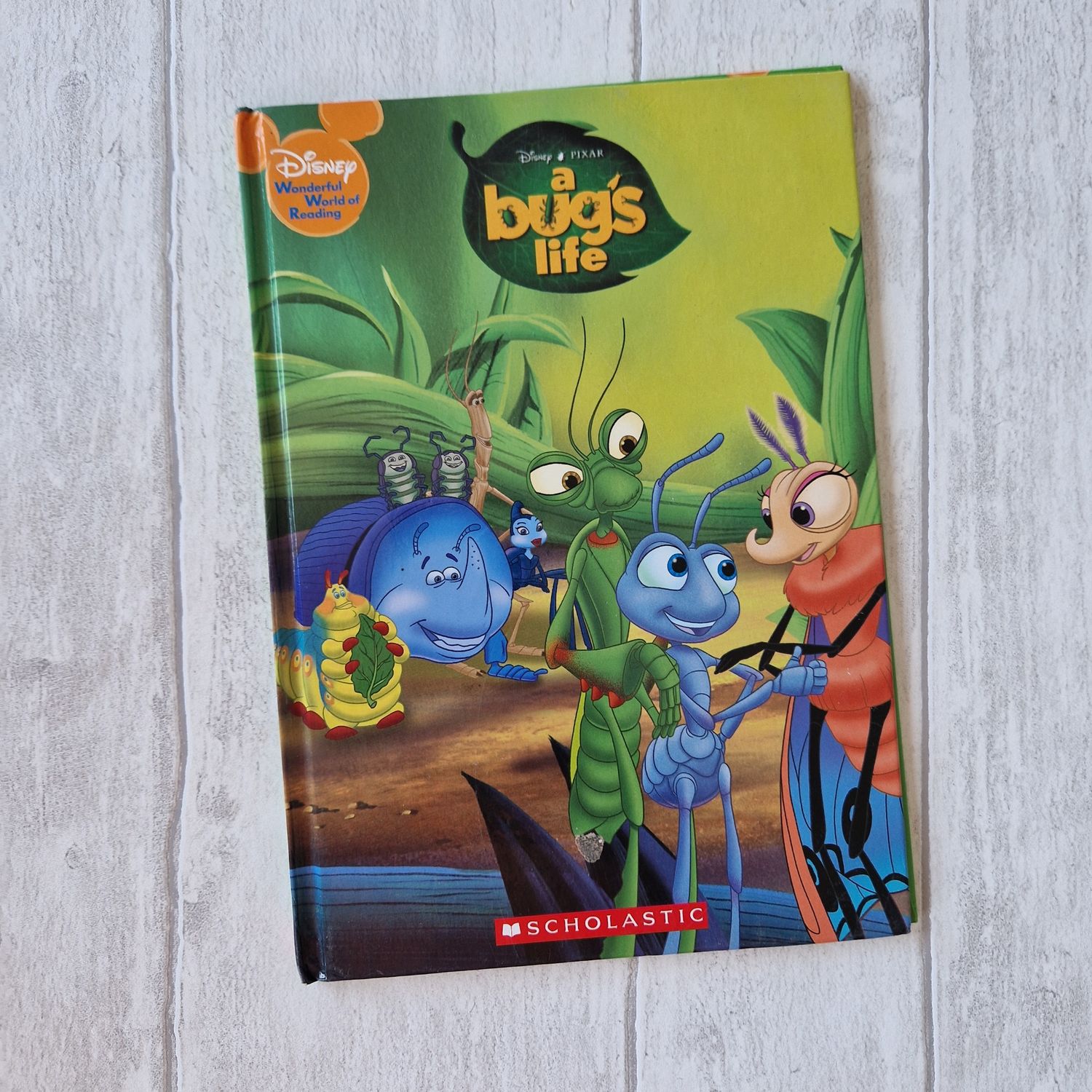 A Bug&#39;s Life Notebook