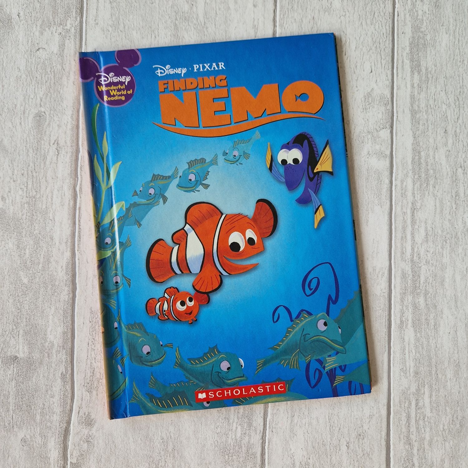 Finding Nemo Notebook