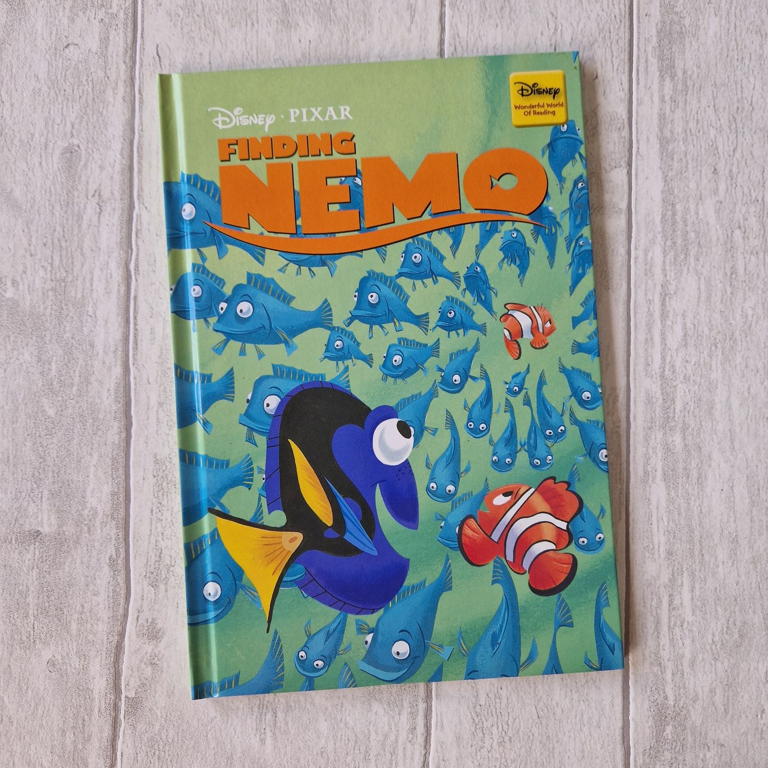 Finding Nemo Notebook