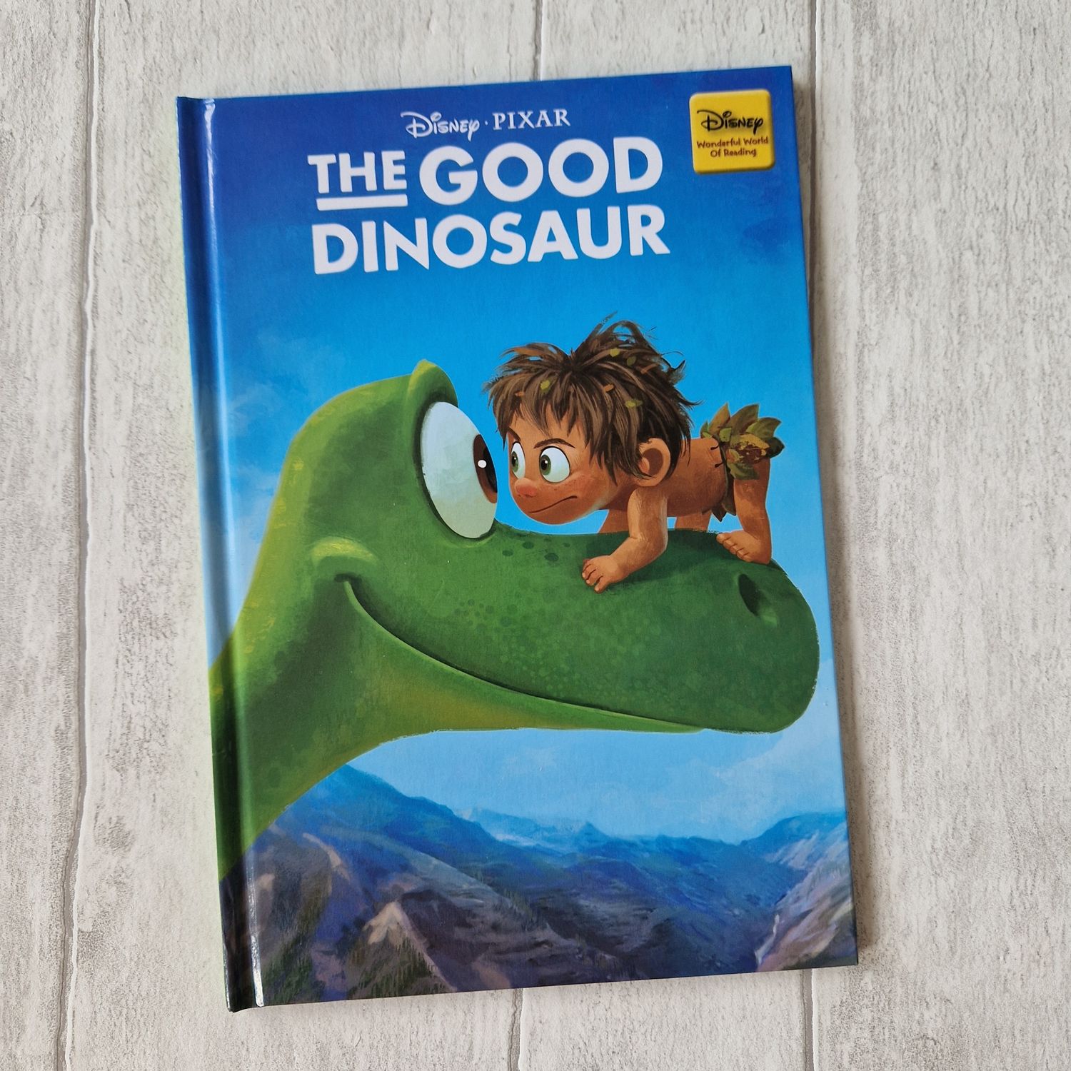Good Dinosaur Notebook