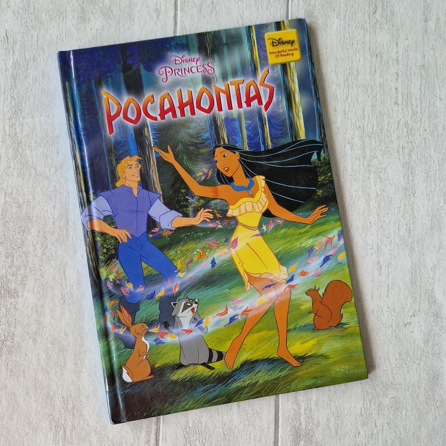 Pocahontas Notebook