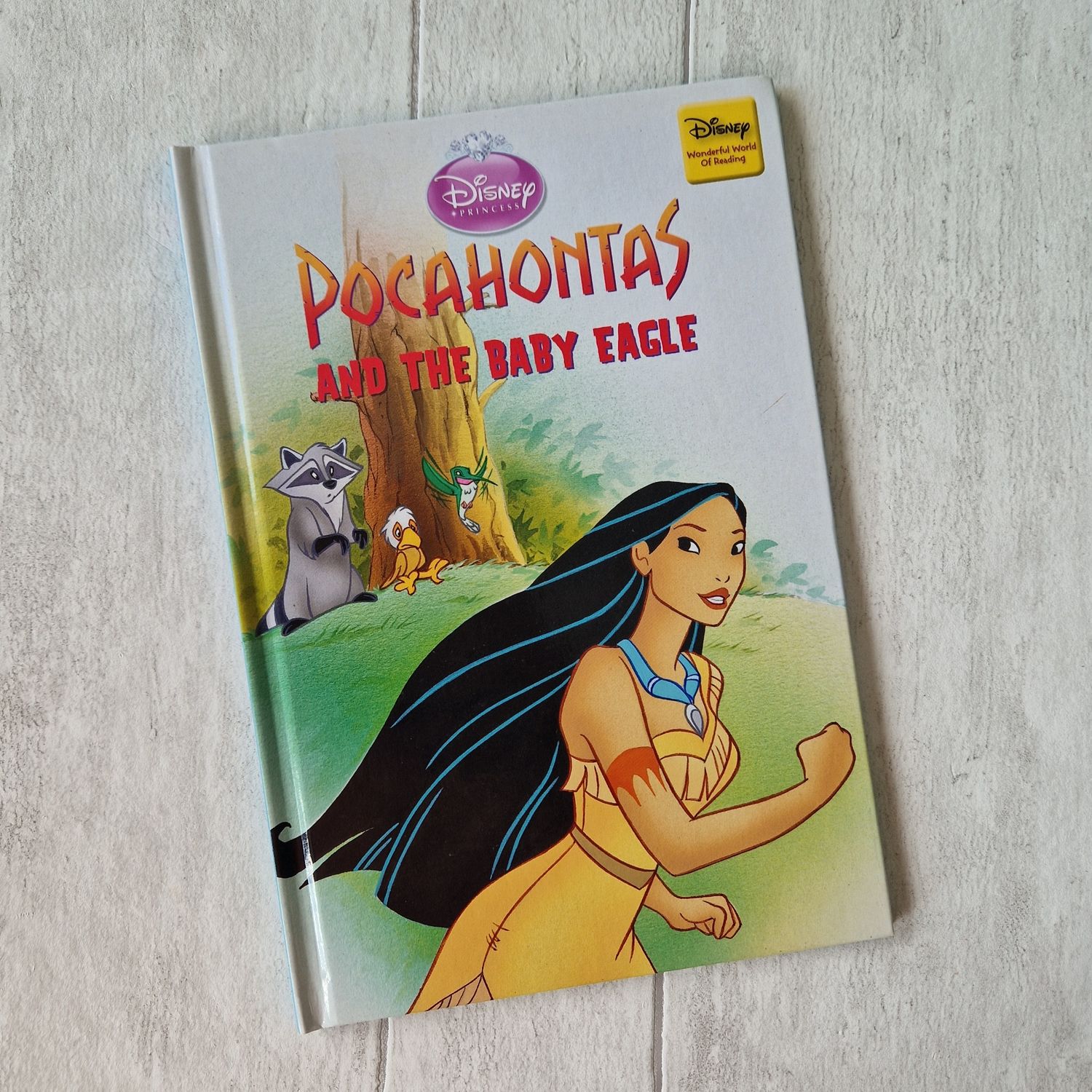 Pocahontas and the Baby Eagle Notebook