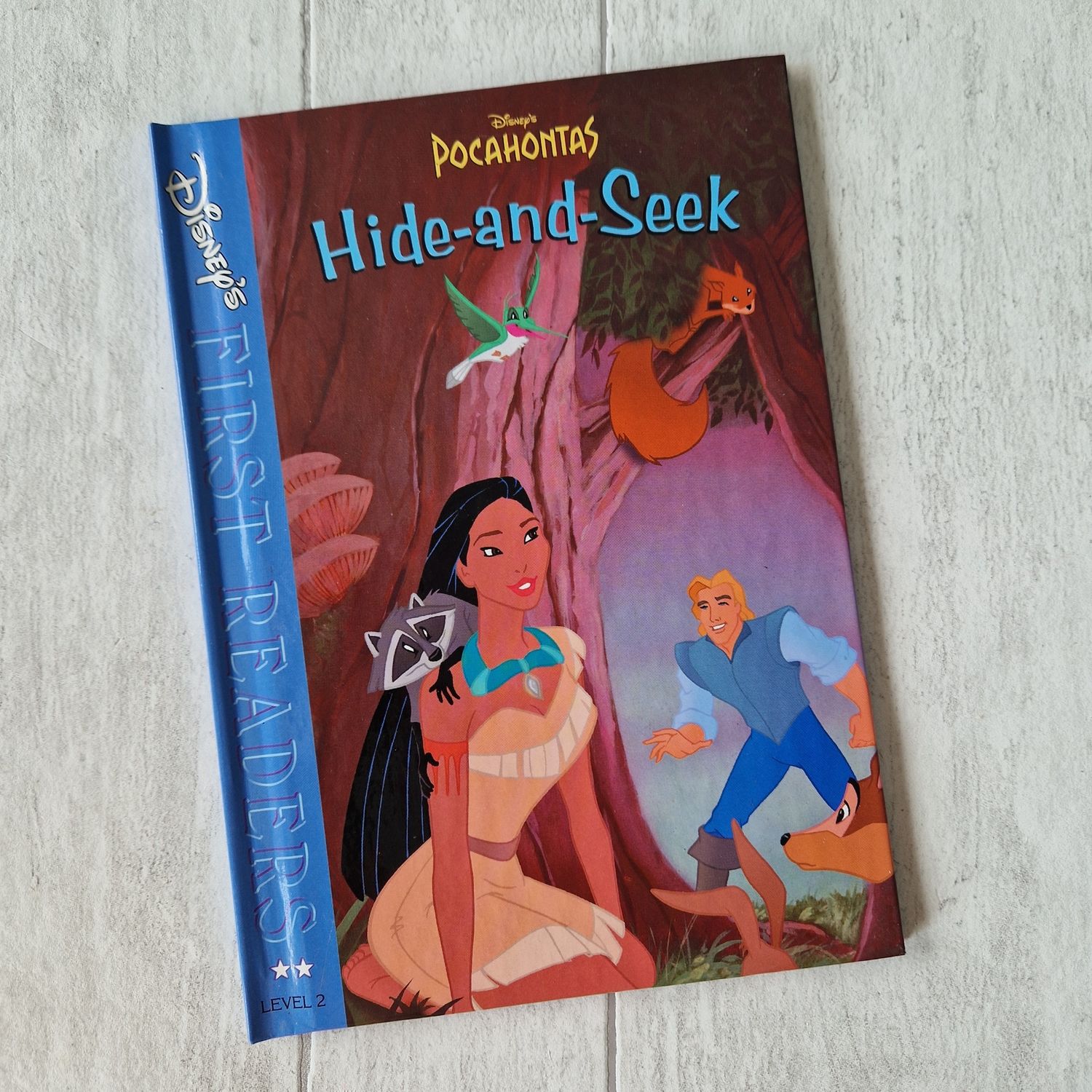 Pocahontas Hide and Seek Notebook