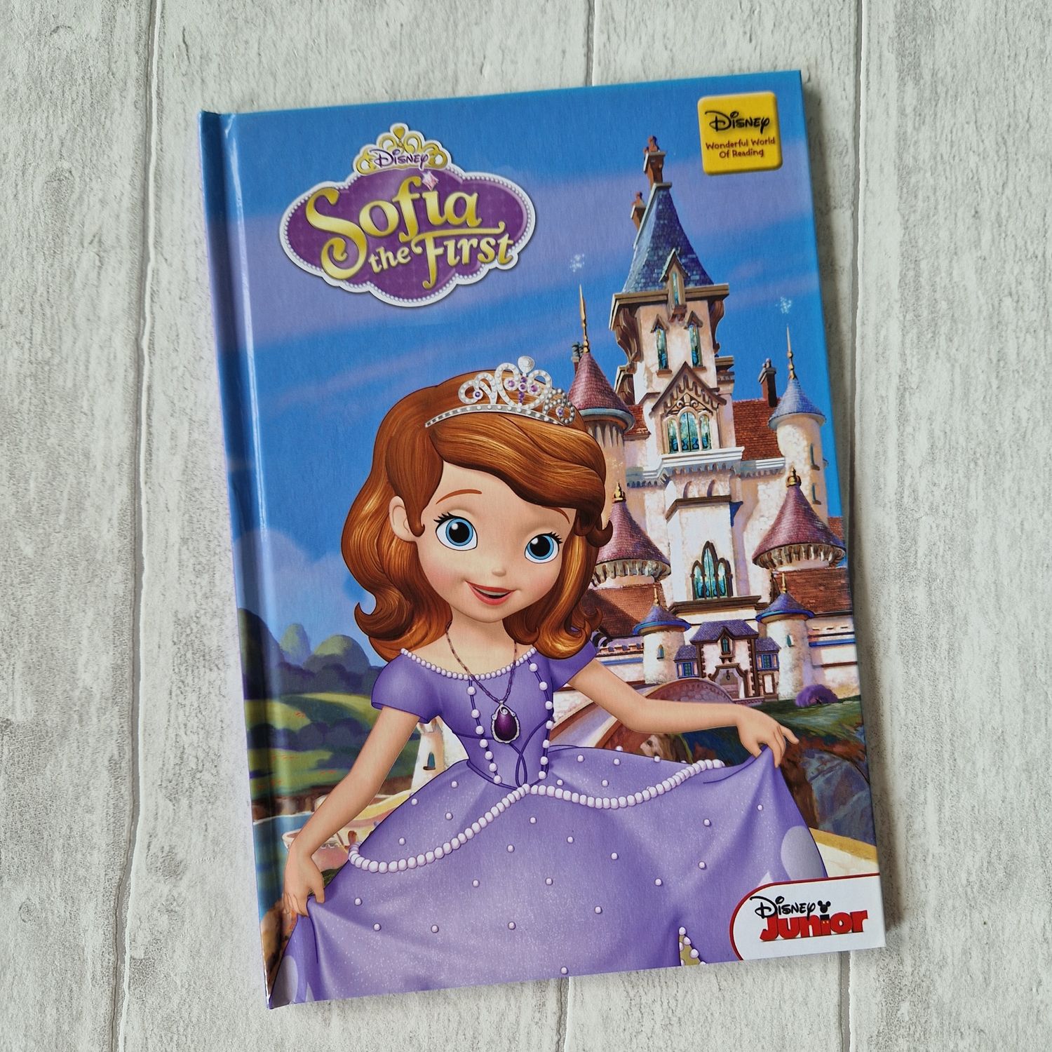 Sofia the First Notebook