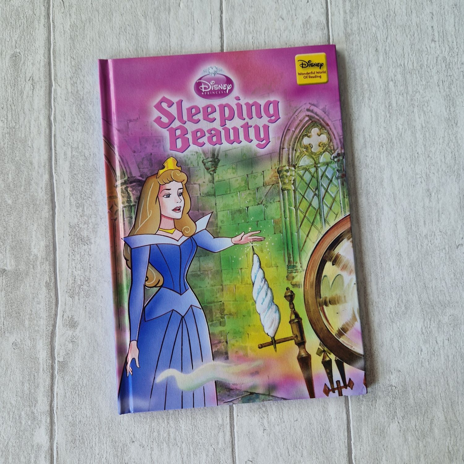 Sleeping Beauty Notebook