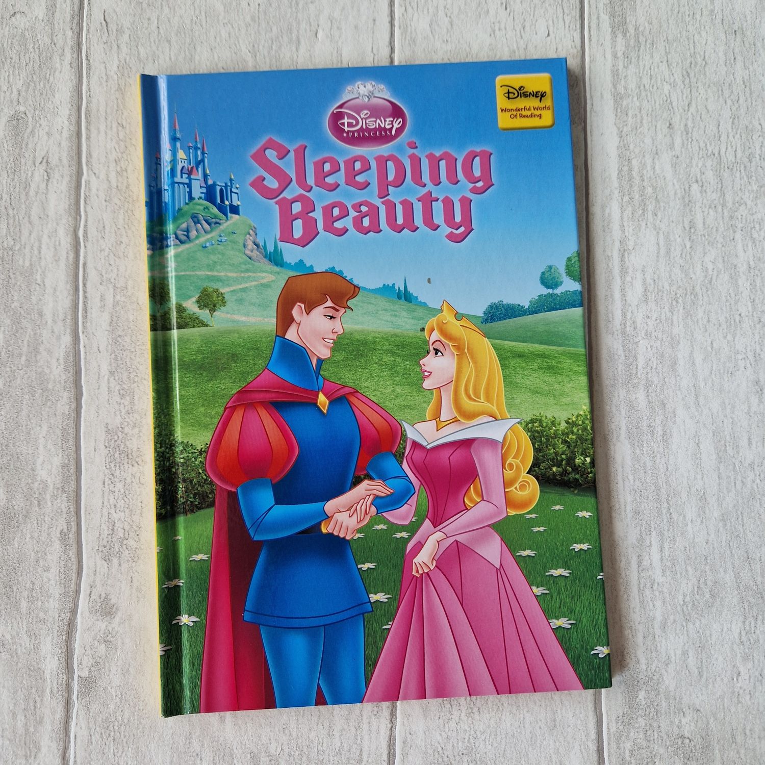 Sleeping Beauty Notebook