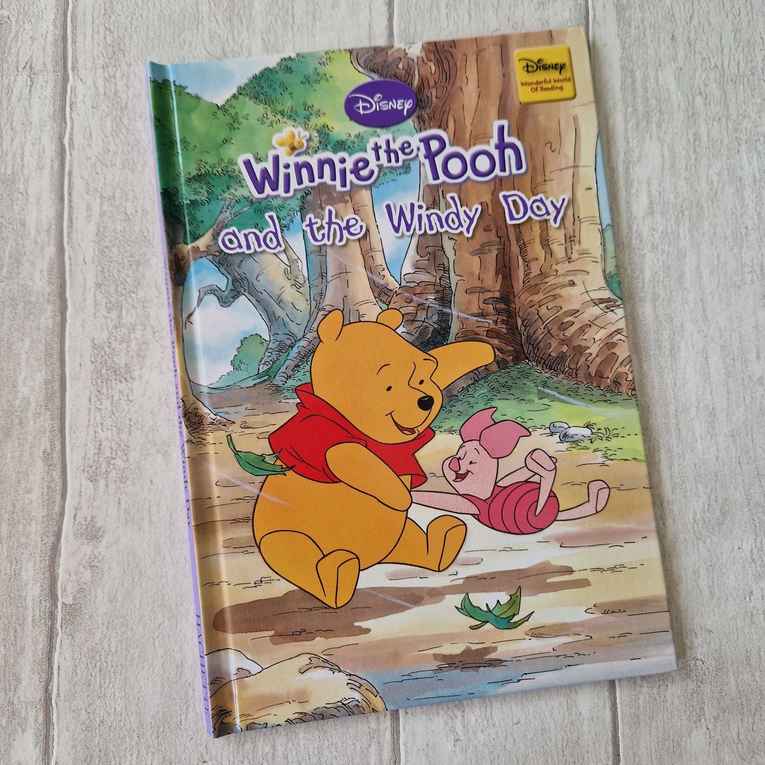 Winnie the Pooh And the Windy Day Notebook