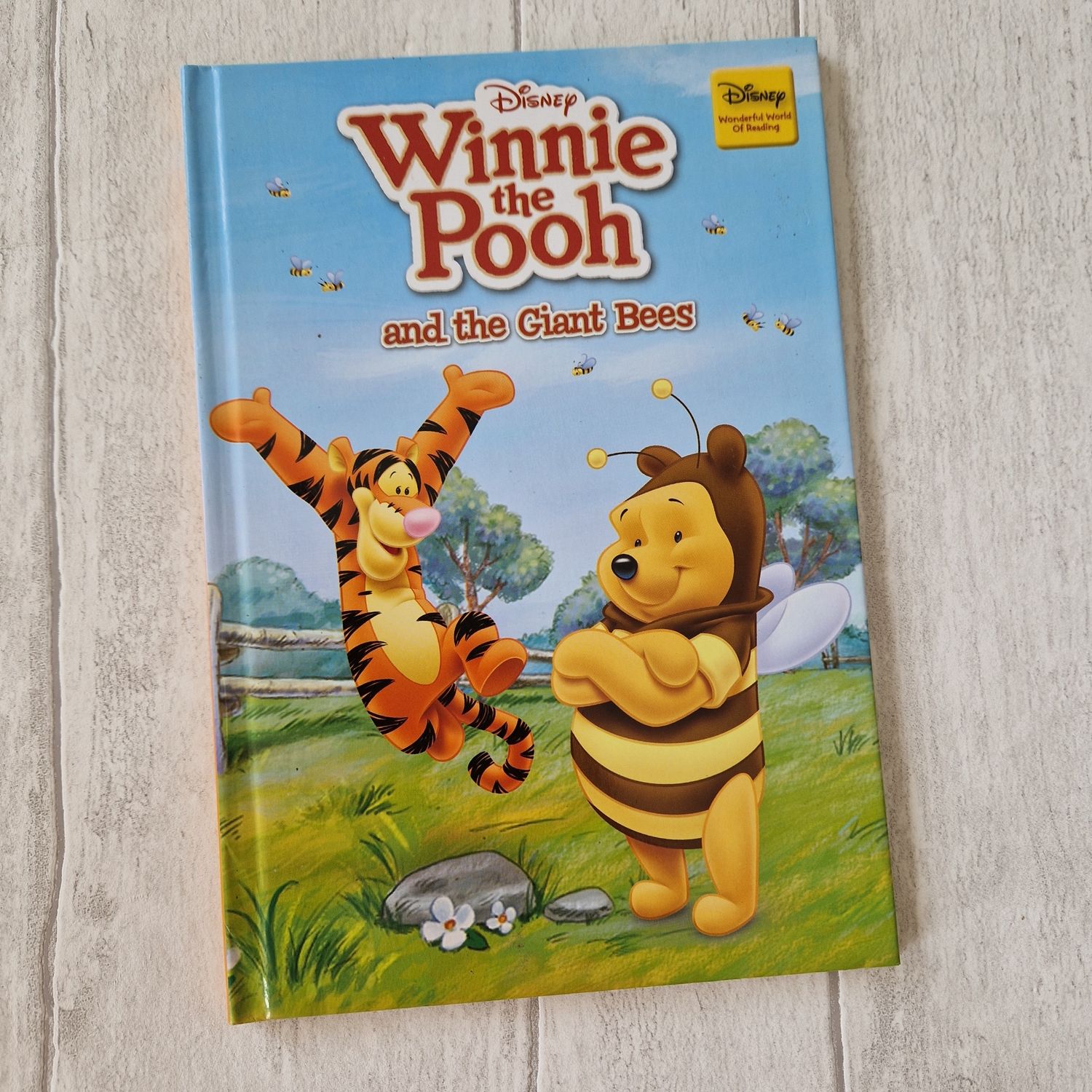Winnie the Pooh and the Giant Bees Notebook