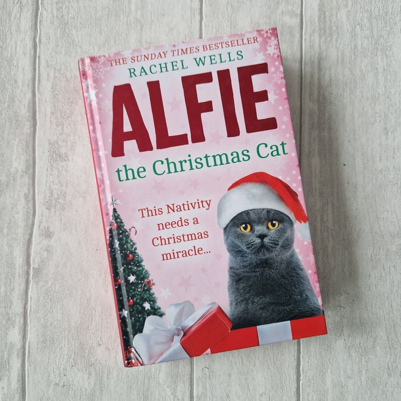 Alfie the Christmas Cat