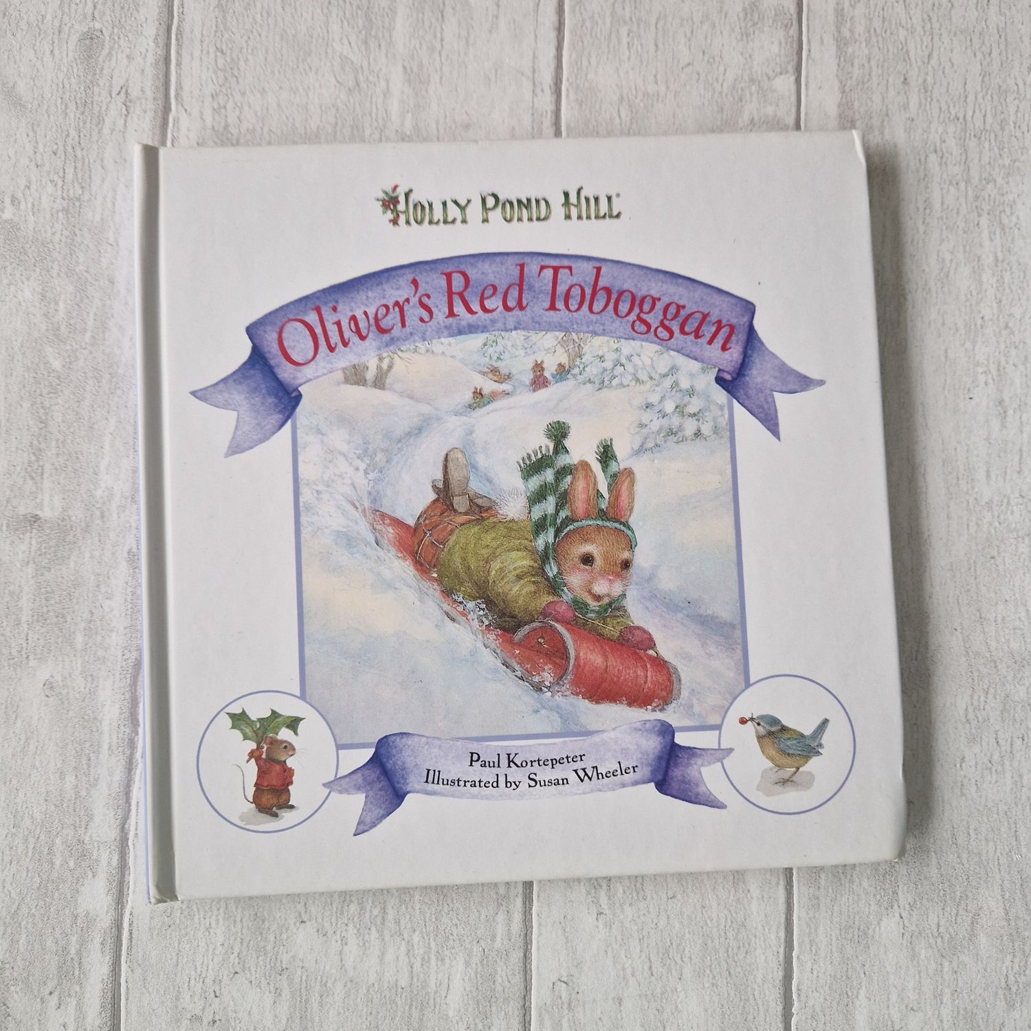 Oliver&#39;s Red Toboggan - Snow