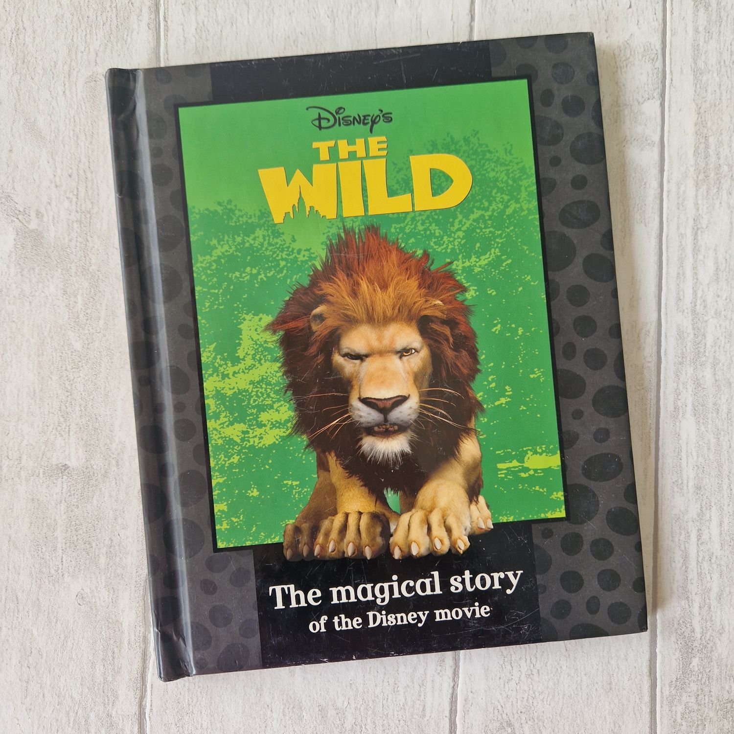 The Wild - lion
