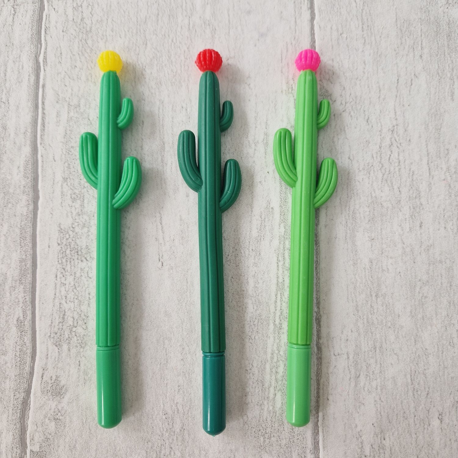 Cactus Pens 