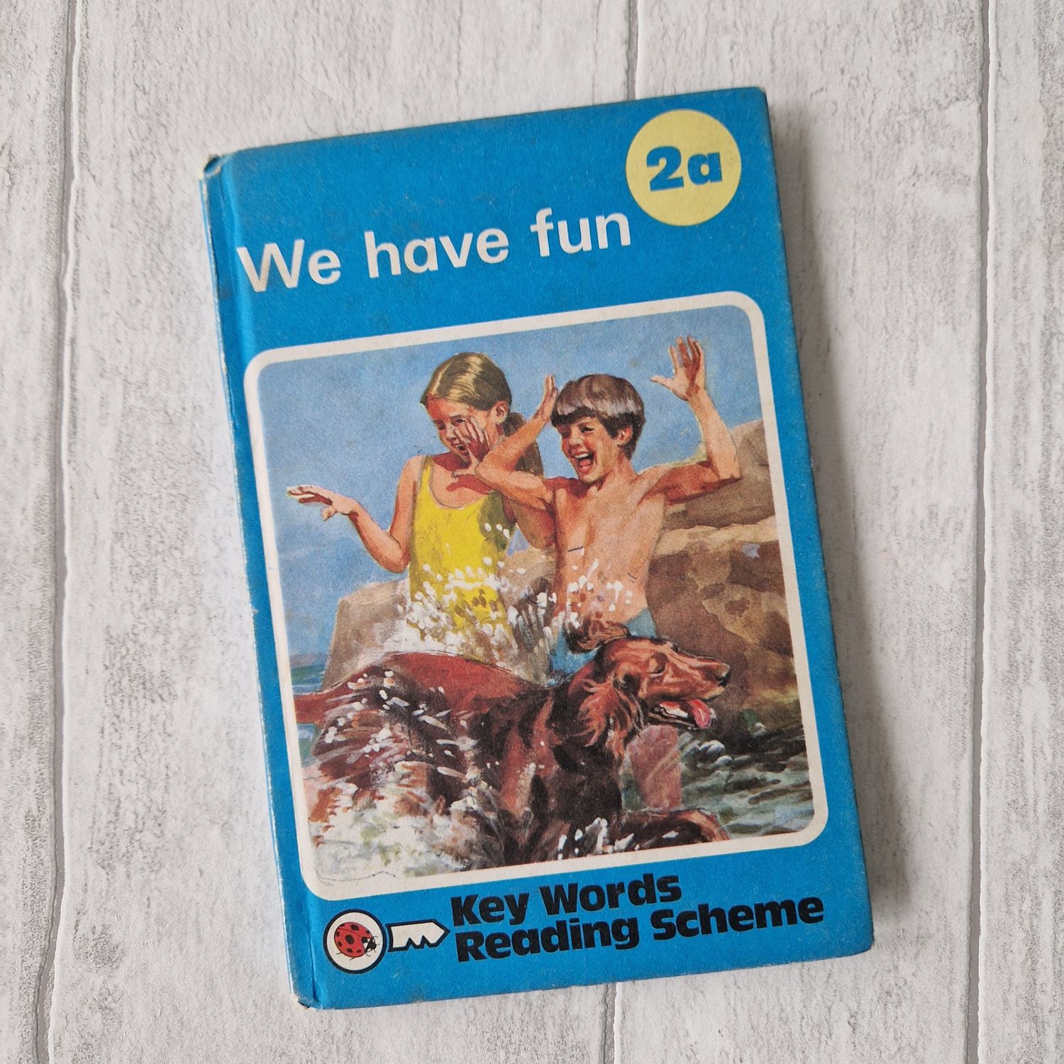 We Have Fun 2a Ladybird Book - Peter and Jane, beach, dog