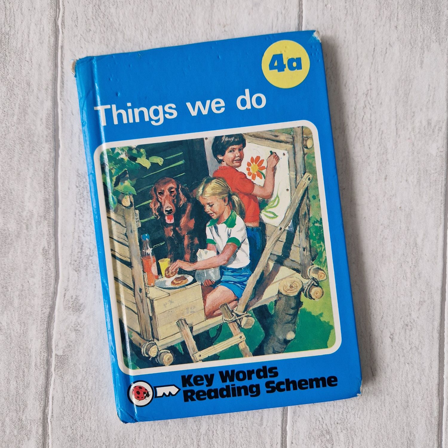 Things We Do 4a Ladybird Book - Peter and Jane, painting