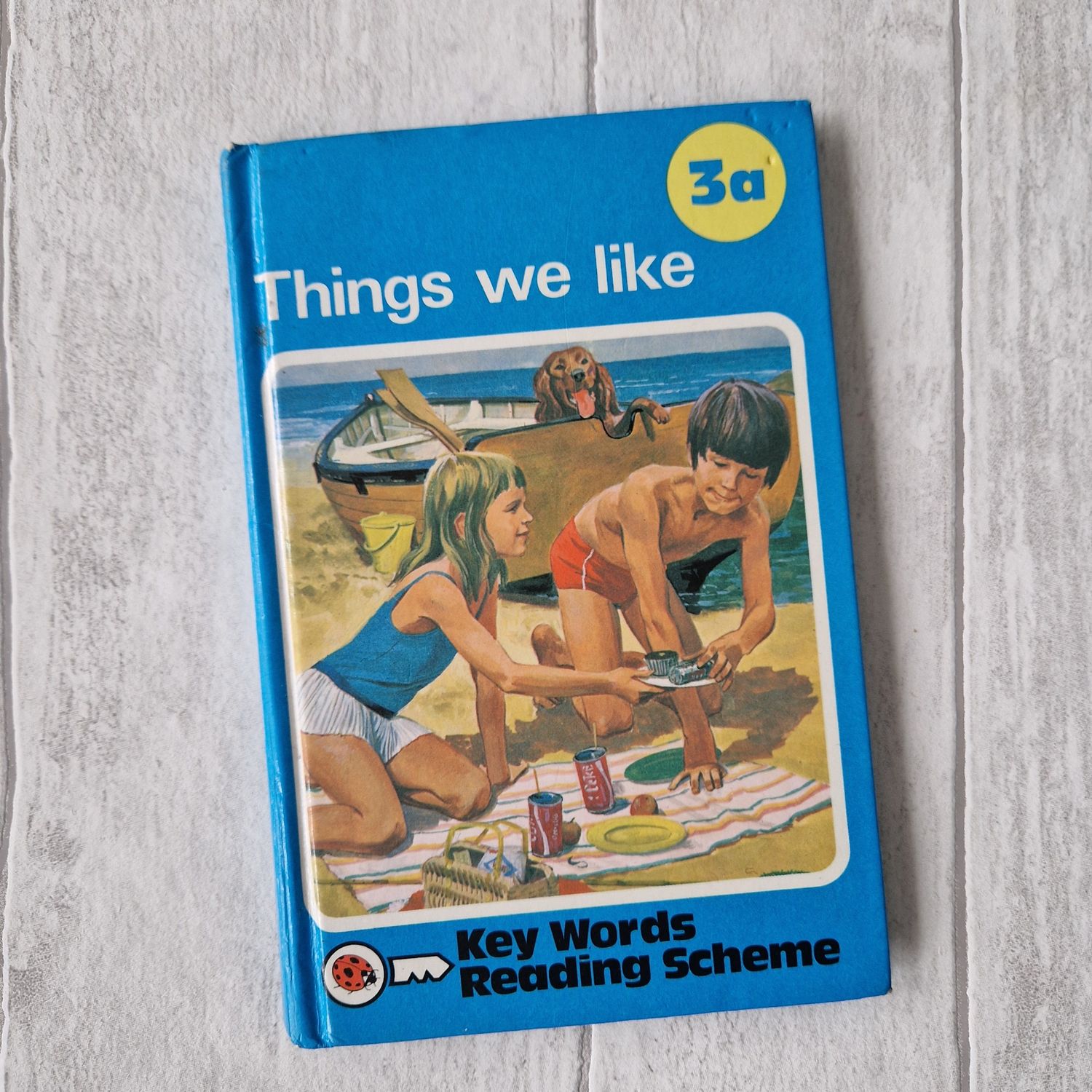 Things We Like 3a Ladybird Book - Peter and Jane, beach picnic