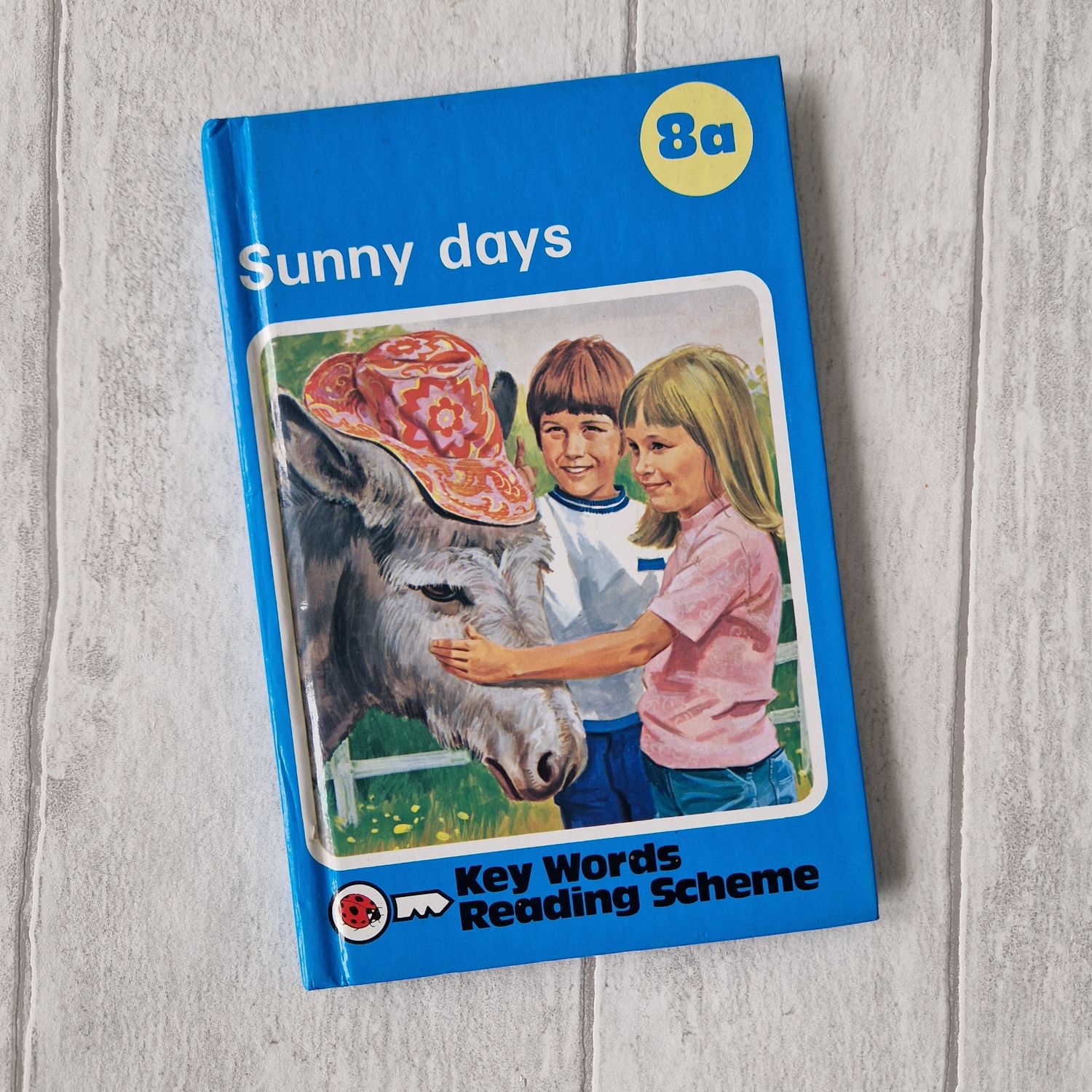 Sunny Days 8a Ladybird Book - Peter and Jane, donkey