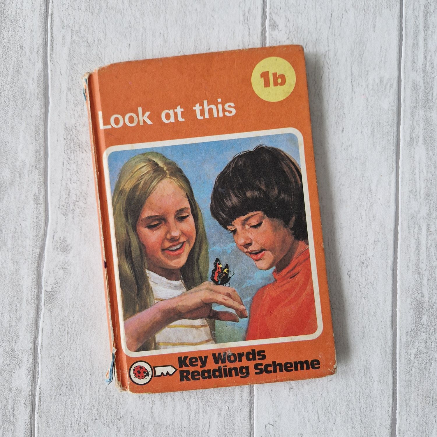 Look at This 1b Ladybird Book - Peter and Jane, Carousel