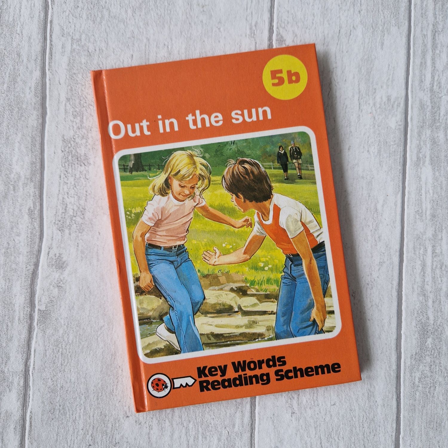 Out in the Sun 5b Ladybird Book - Peter and Jane