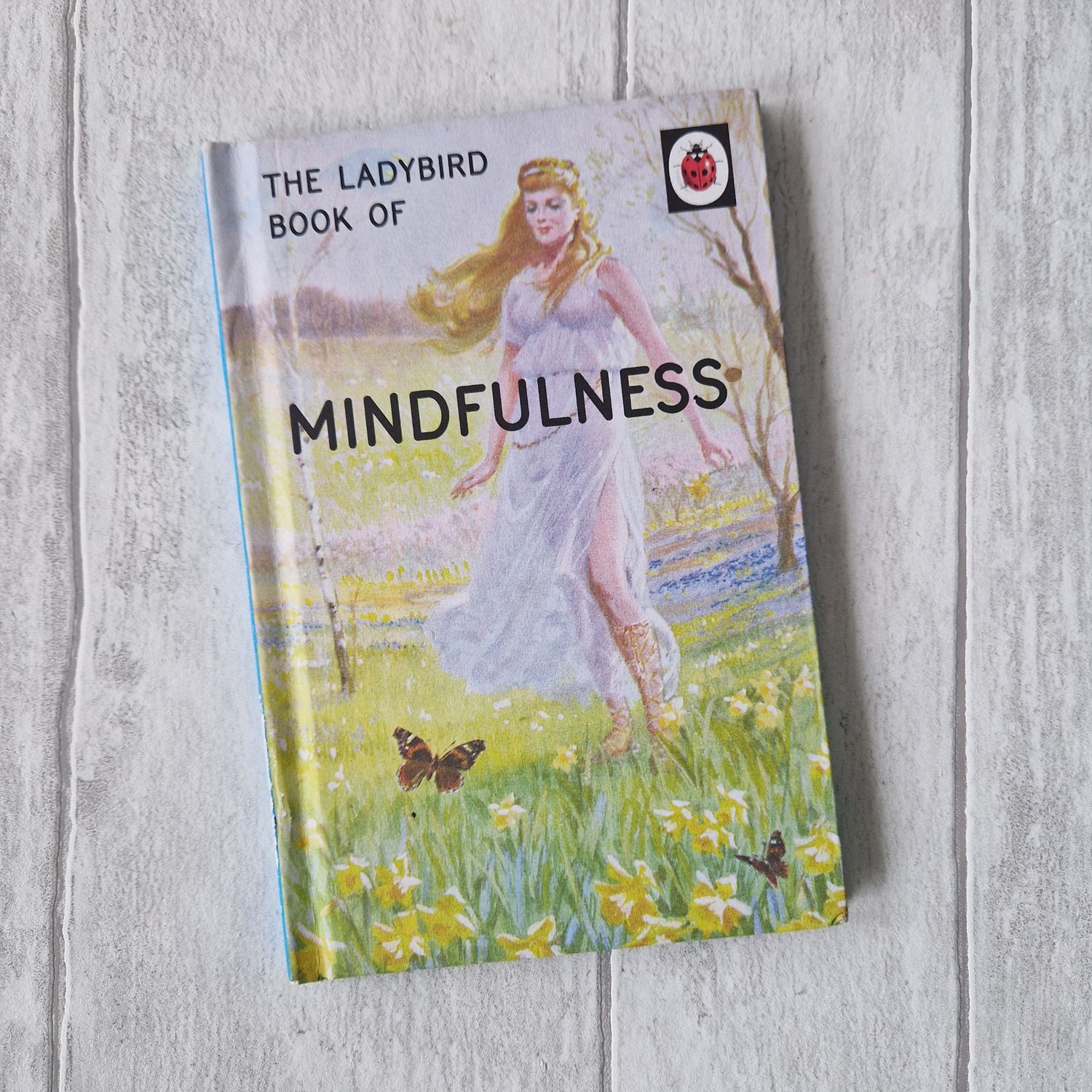 Mindfulness - Ladybird Book