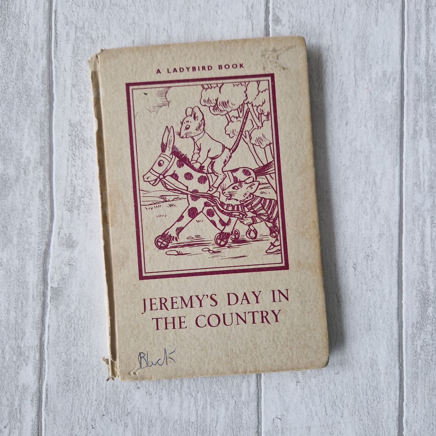 Jeremy&#39;s Day In the Country - Ladybird Book - mouse, 1950s