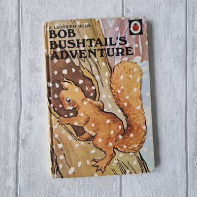 Bob Bushtail&#39;s Adventure,  Ladybird Book Squirrel