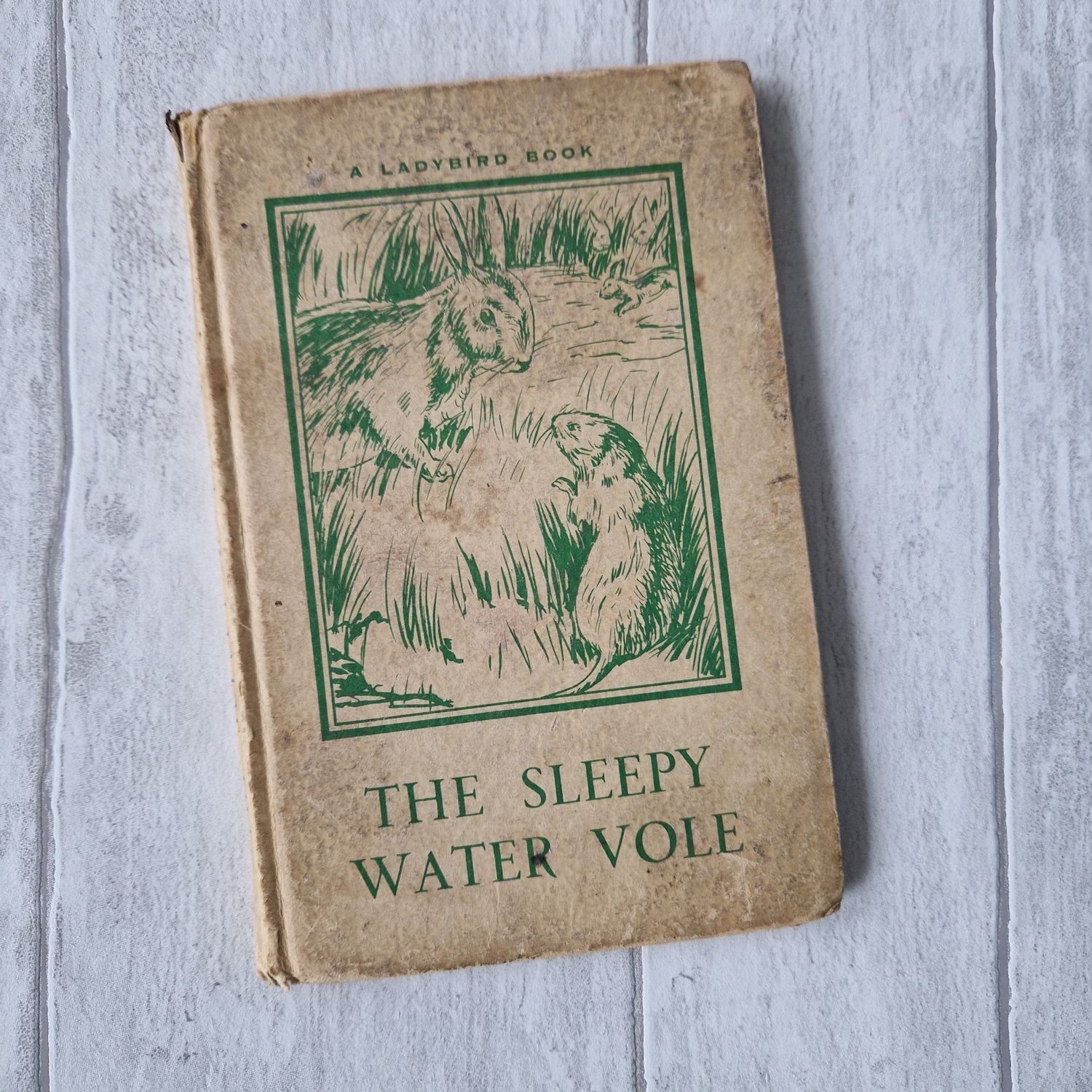 The Sleepy Water Vole Ladybird Book 1957
