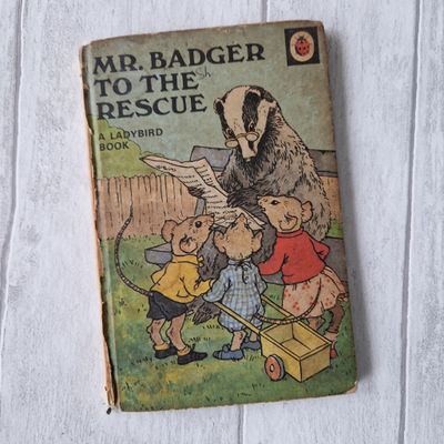 Mr Badger to the Rescue Ladybird Book