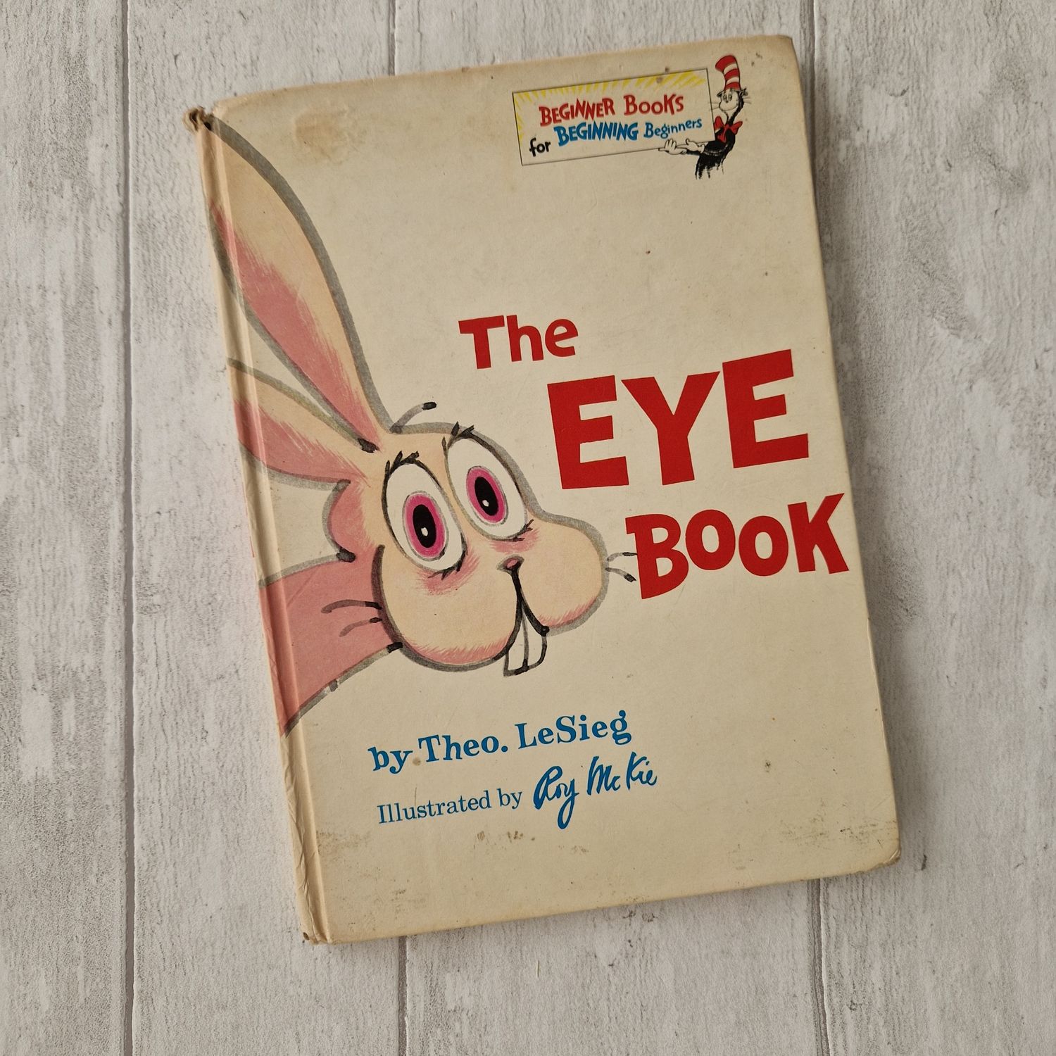The Eye Book - Notebook - bunny rabbit, optician