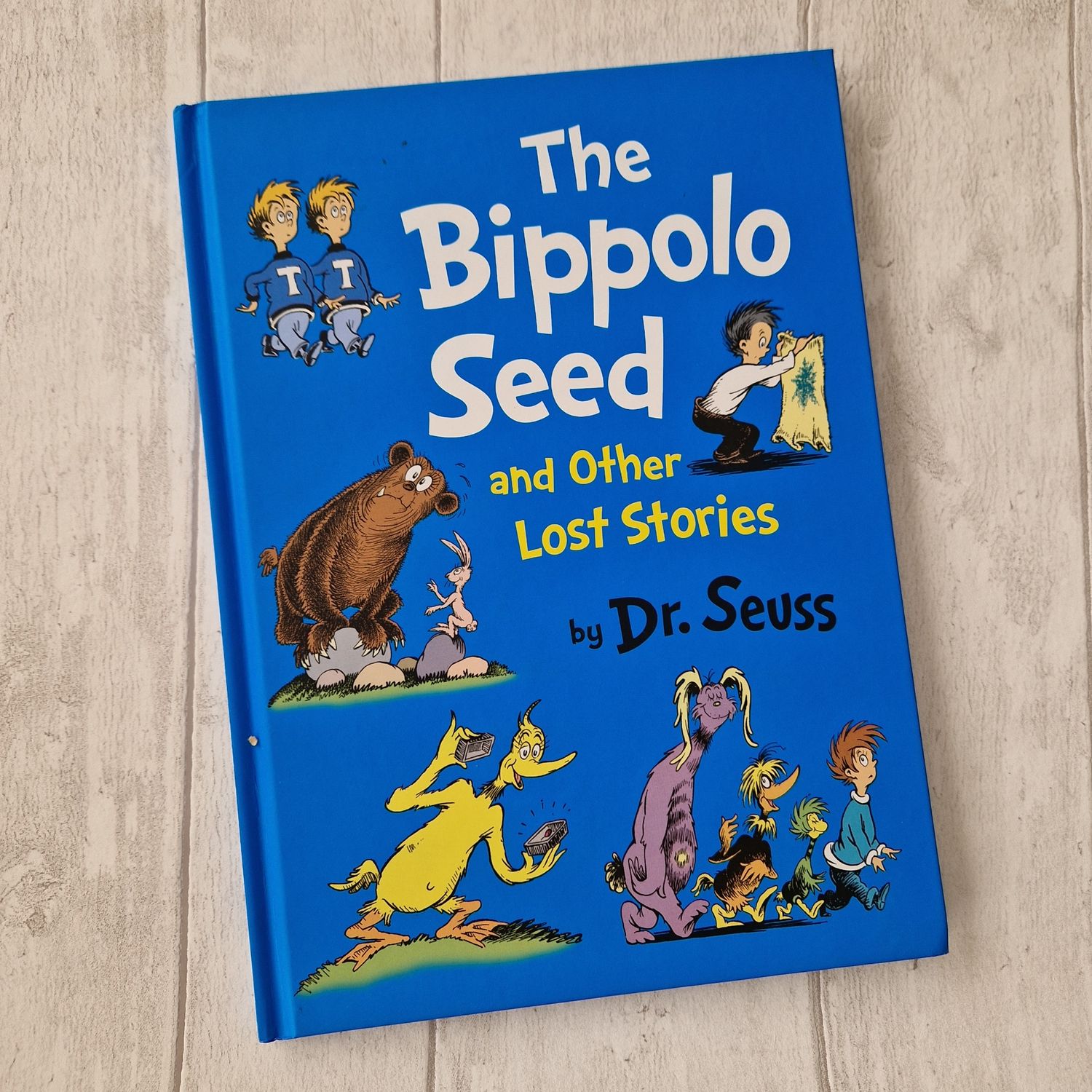 Dr Seuss The Bippolo Seed and other Lost Stories
