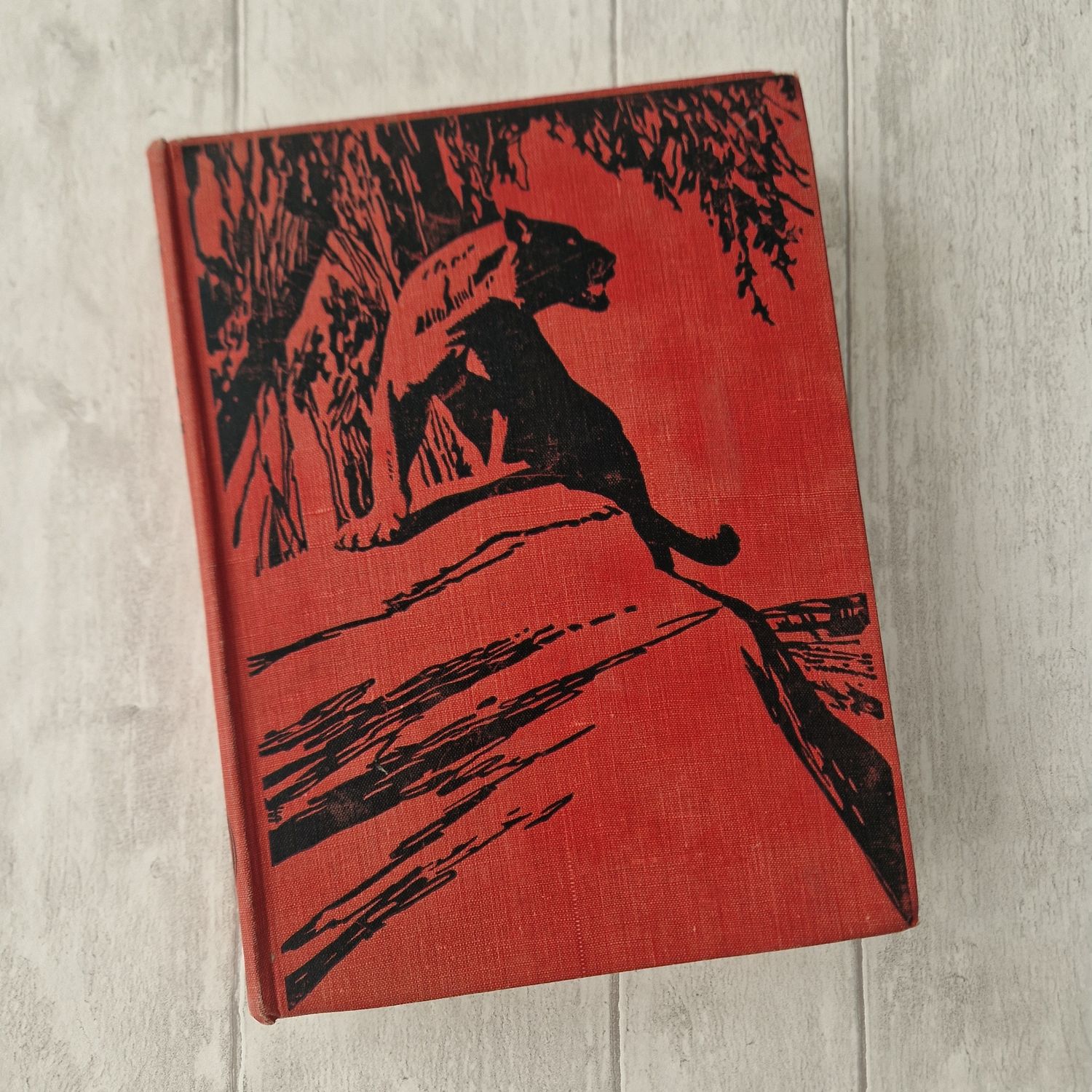 Big cat / lion / panther  - Animal Stories Rudyard Kipling (Jungle Book) 1932